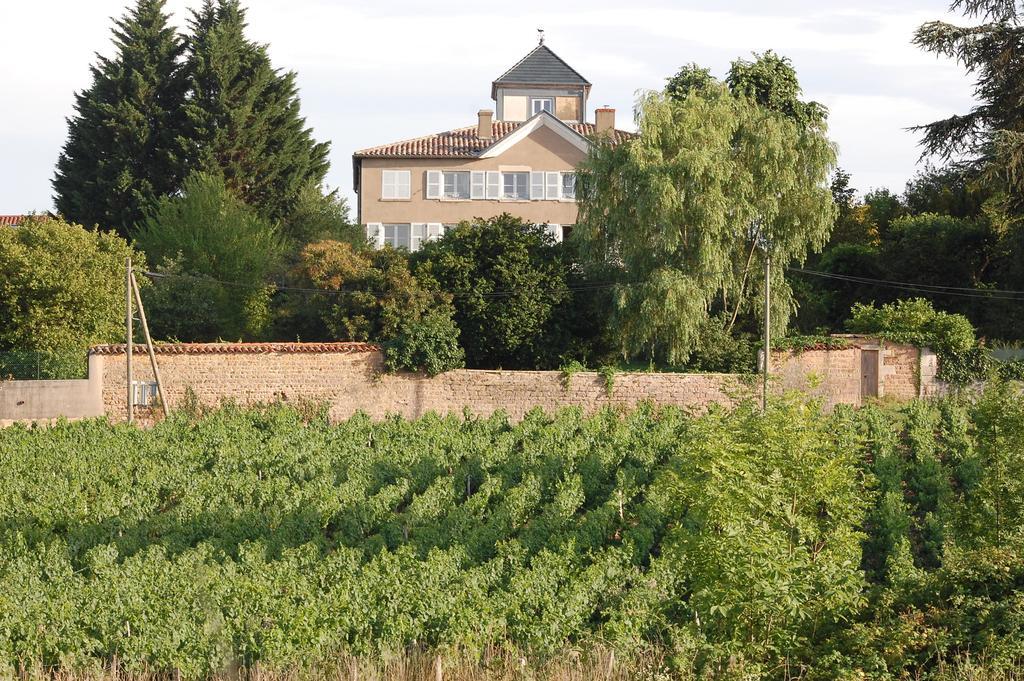 Le Montellier Bed & Breakfast Blace Bagian luar foto